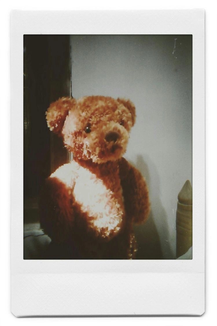 Teddybear