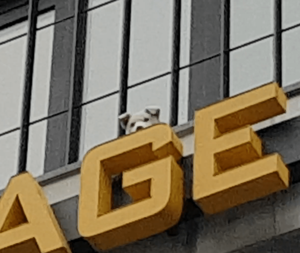 Dog barking like a human