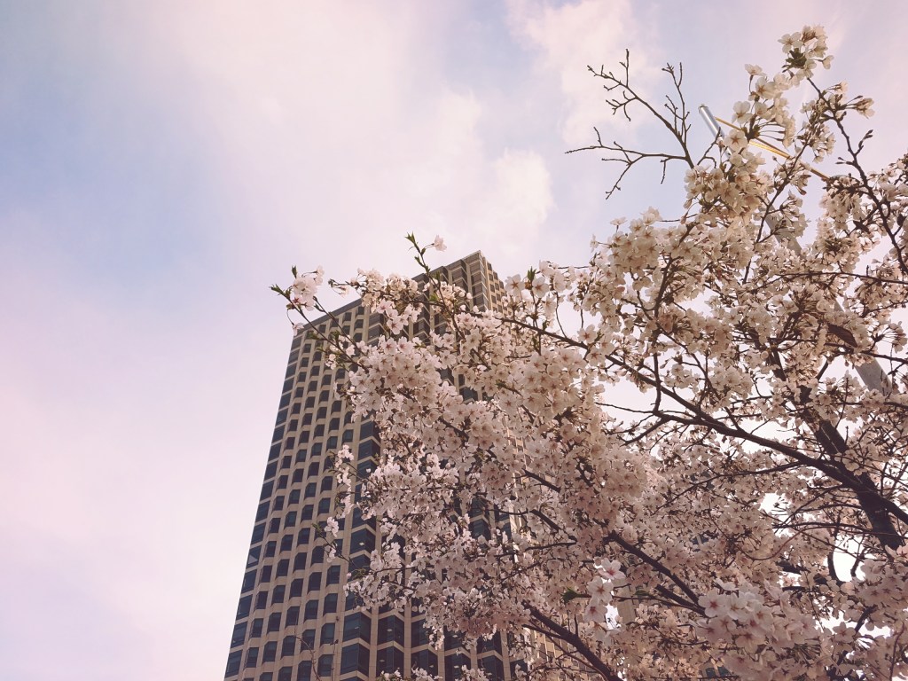 It’s spring! ☘️