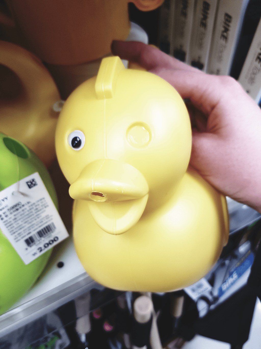 One eyed duck&nbsp;🦆