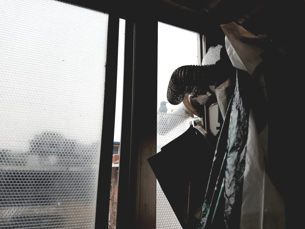 Cute birdy friend π¦