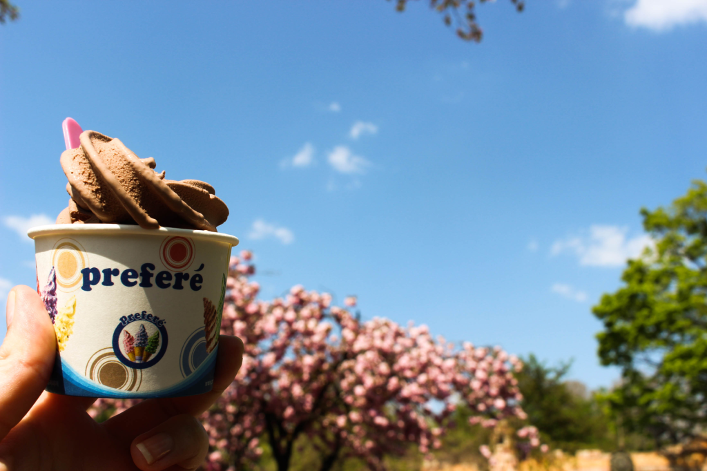 Children’s Grand Park /&nbsp;어린이대공원