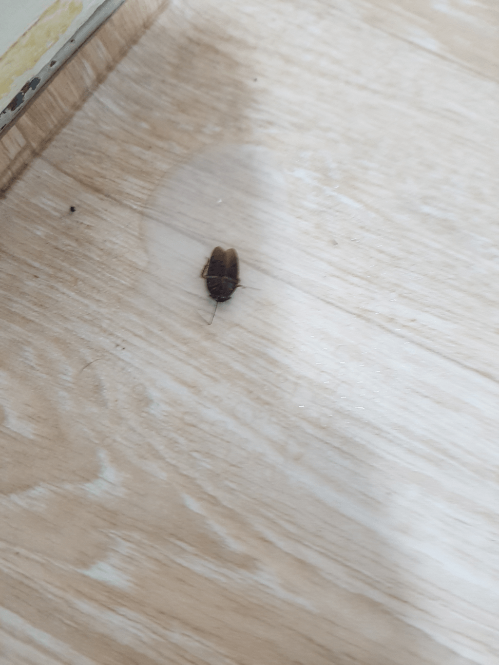 One gone, millions&nbsp;left