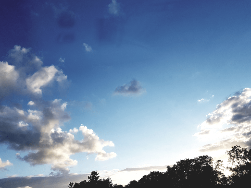 What a summer&nbsp;🌪