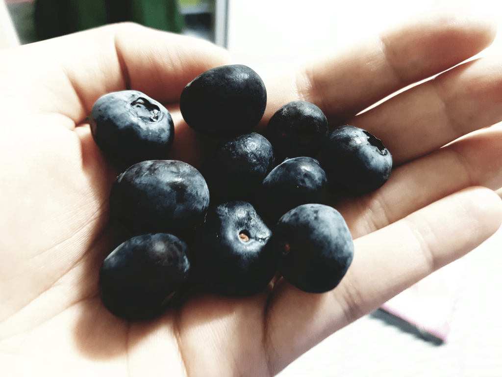 Blueberries and coffee