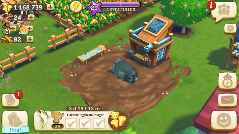 Prized potbellied pig&nbsp;🐷