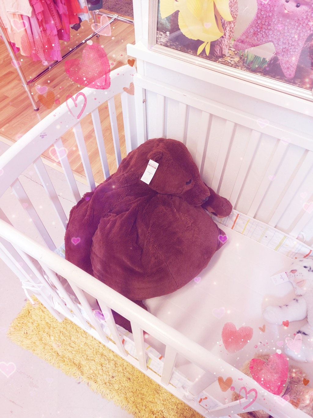 Djungelskog sightings 🐻