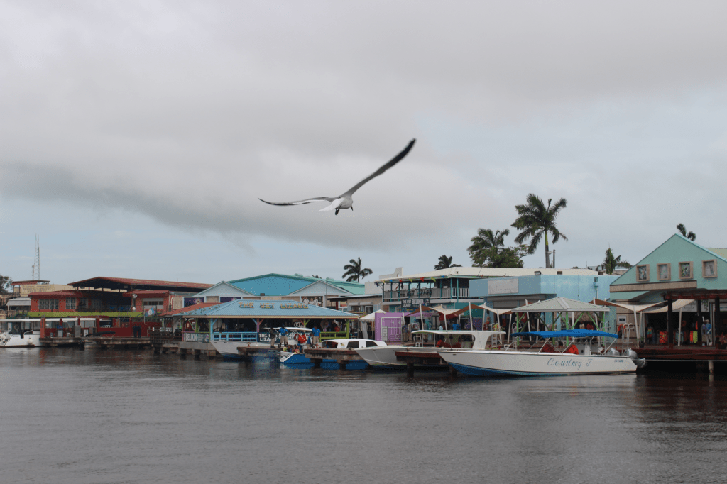 Day 7 – Belize&nbsp;🇧🇿