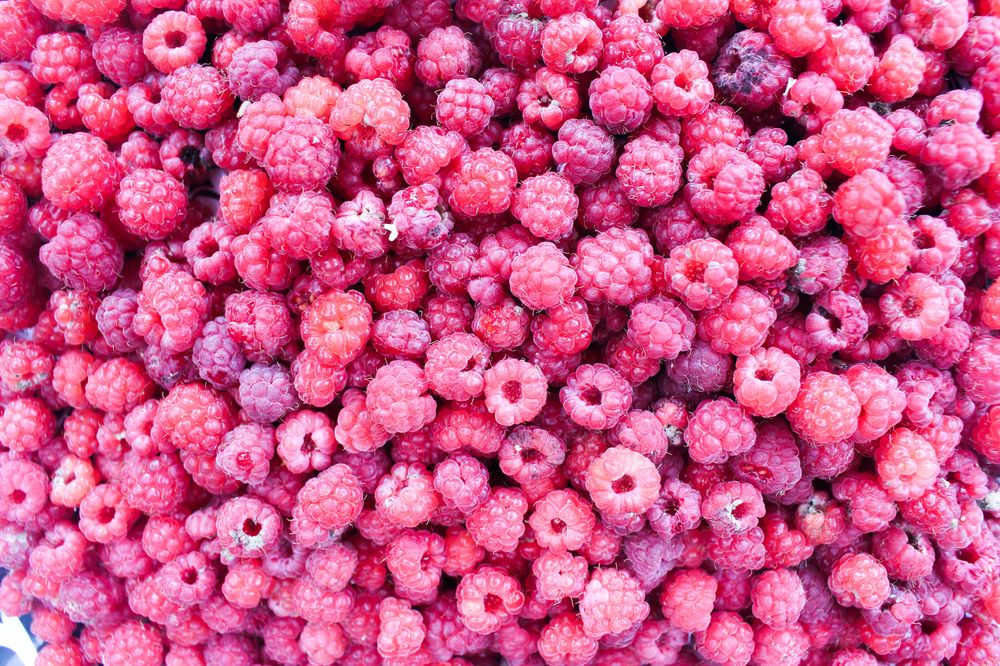 Fresh berries from the&nbsp;forest
