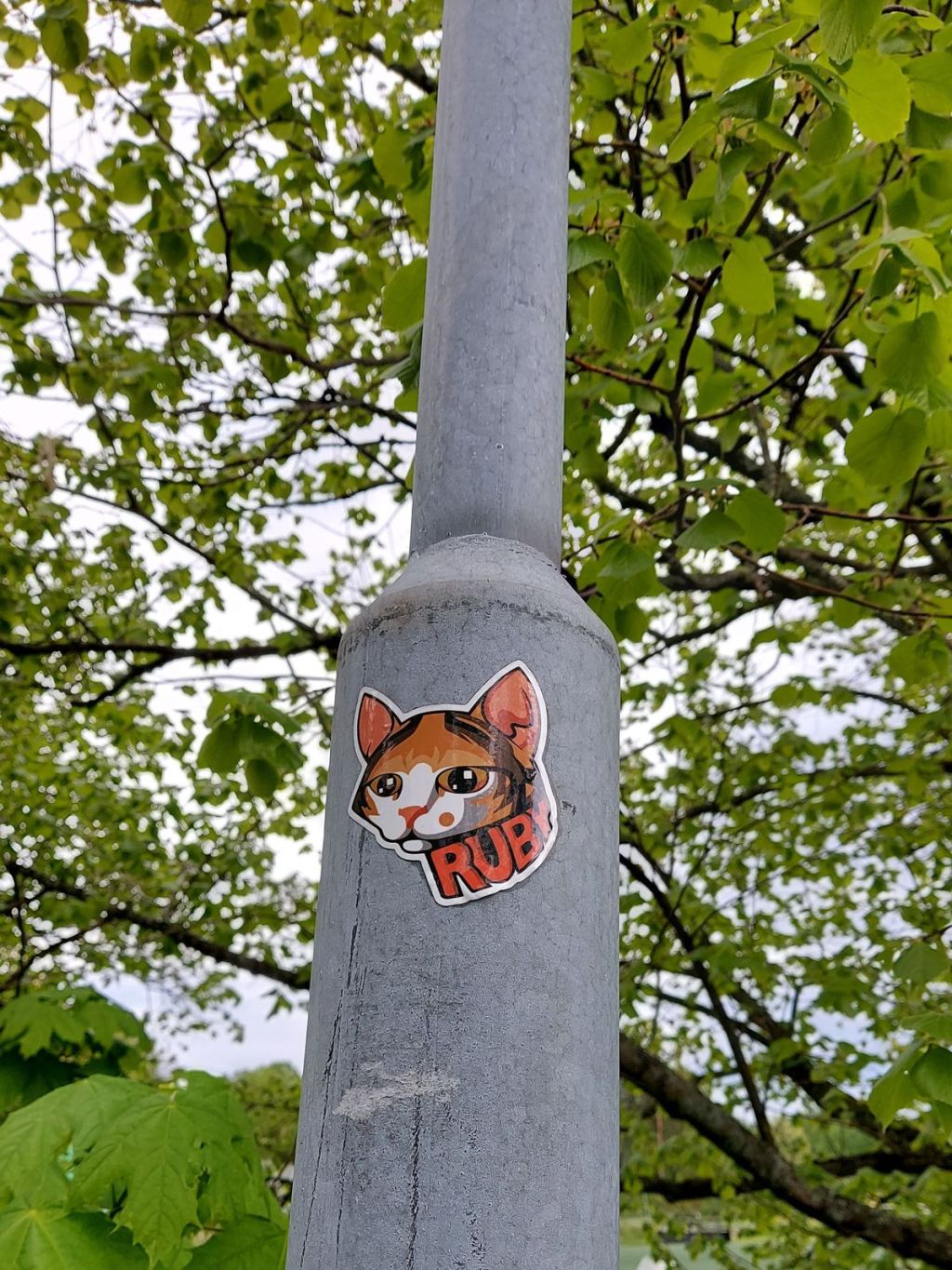 Lily of the&nbsp;valley