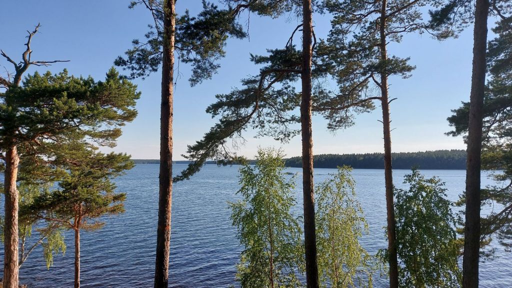 Barbeque at the beach&nbsp;🍴