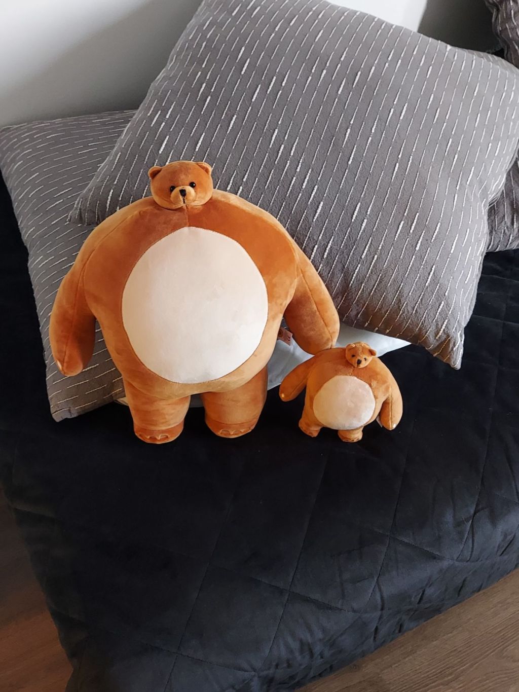 Waiting for two bears to&nbsp;come