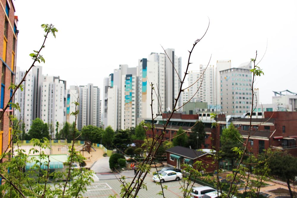 Hongik University 🌱