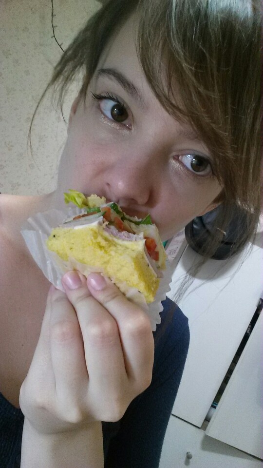 The sandwich diet&nbsp;🥪