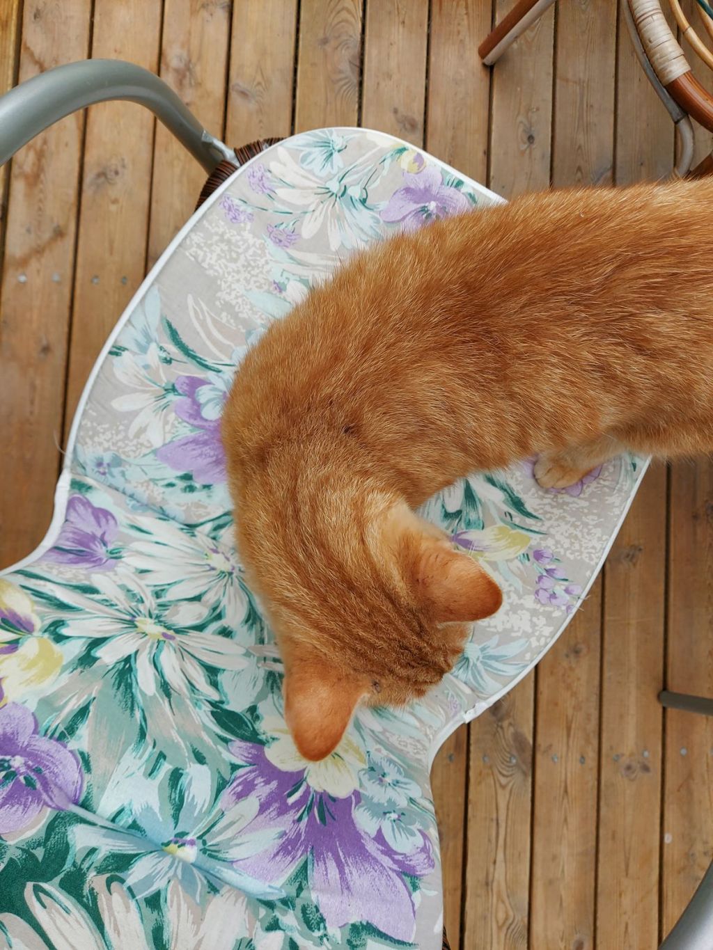 Back in my&nbsp;hometown