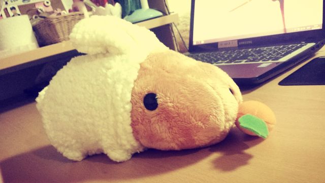 Capybara-san