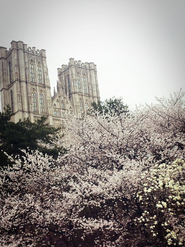 And so it was&nbsp;spring