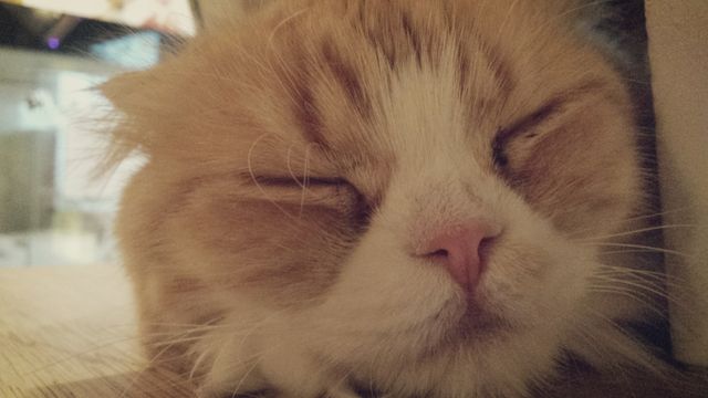 Photo challenge 25/28&nbsp;📷