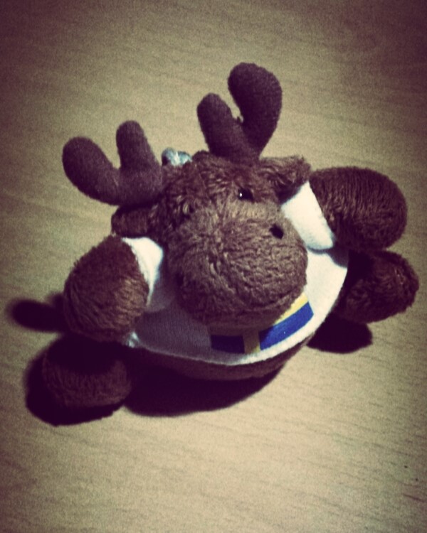 Photo challenge 3/28&nbsp;📷