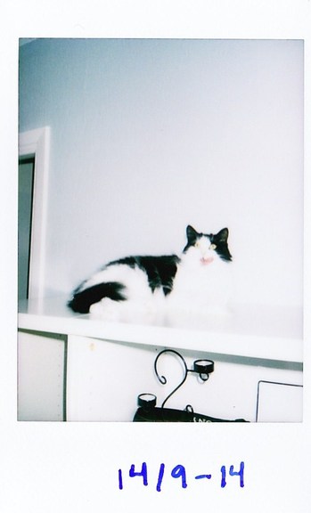 Visiting Nova’s house