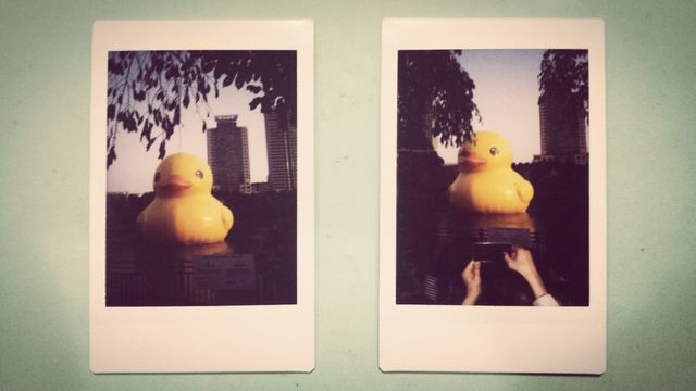 The large rubber duck