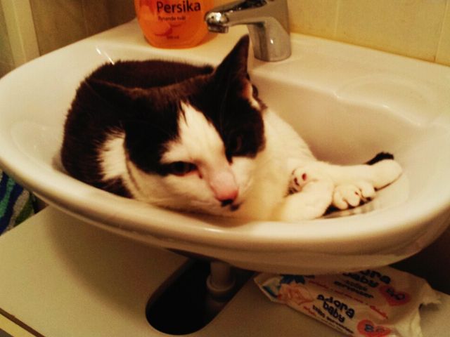 Viktors new sleeping&nbsp;place