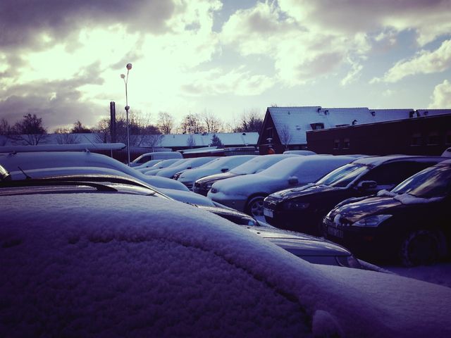 Snow and wallpapering