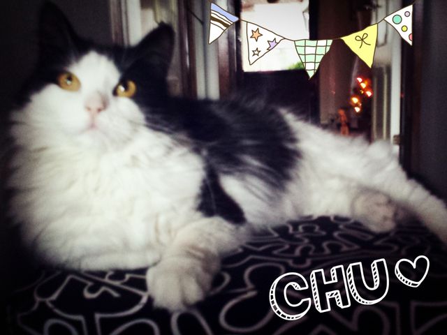 Waiting for something&nbsp;good