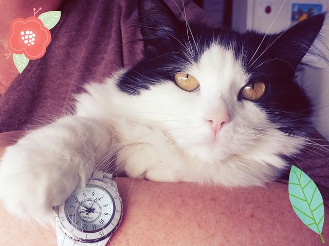 From rain to&nbsp;snow