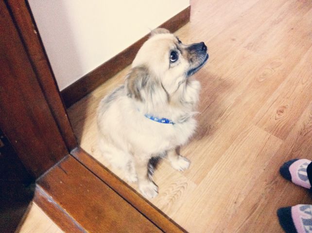 First day in&nbsp;school