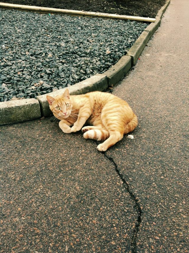 Second hand shopping