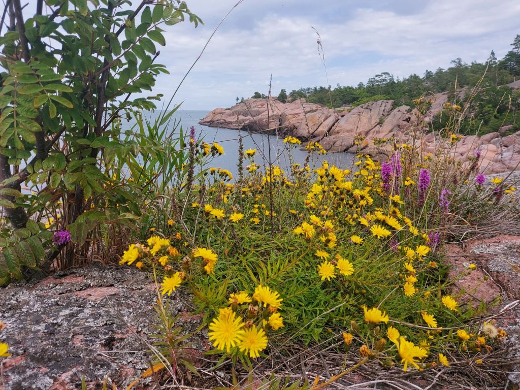 Blå Jungfrun 🧙‍♀️