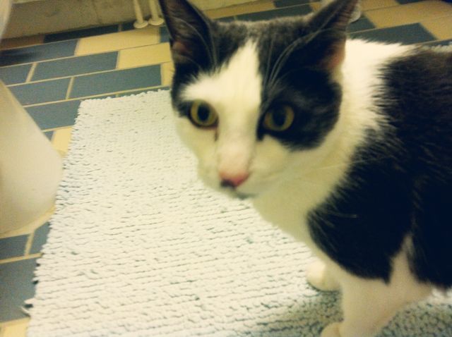 Wanna have a bath, Viktor?