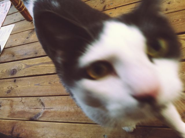 Hello my name is Viktor