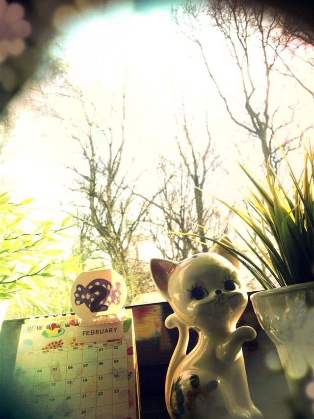 Spring is in the&nbsp;air