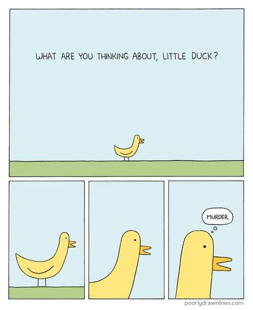 Murder duck