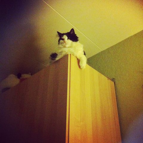 One gone, one&nbsp;left