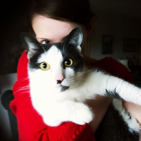 Viktor hugs and&nbsp;kisses