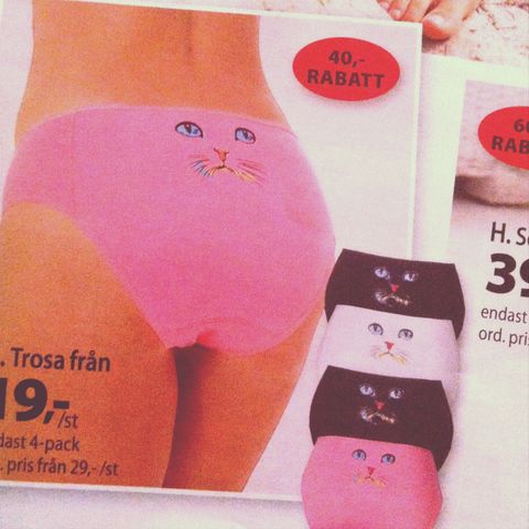 Cat panties