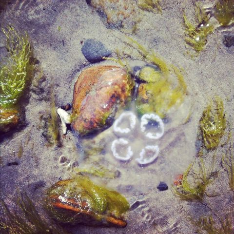 Beach for the first&nbsp;time