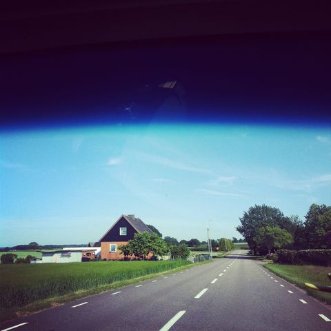 Strawberry hunt 🍓🍓🍓