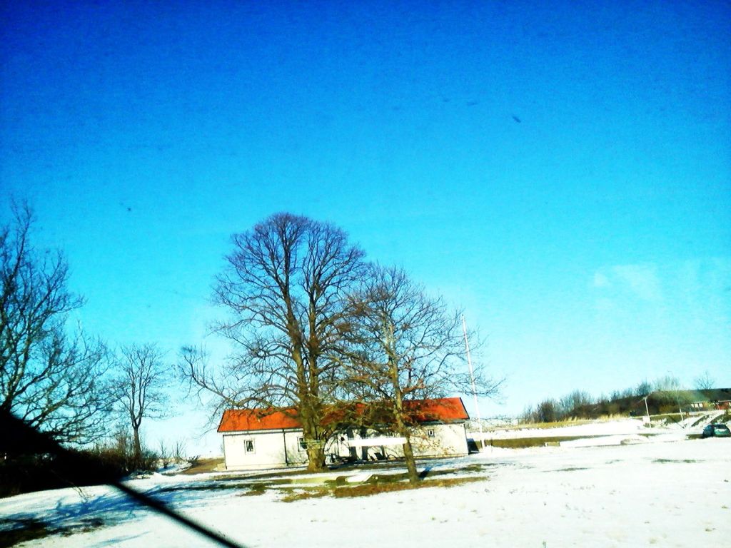 Winter 2010