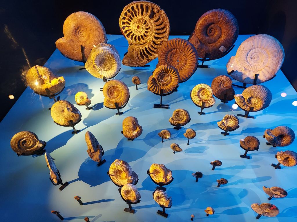 Naturhistoriska